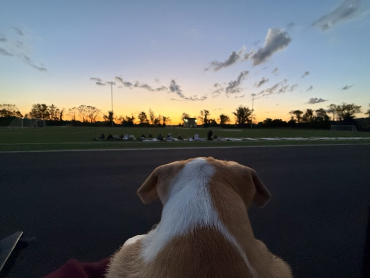 sunrise