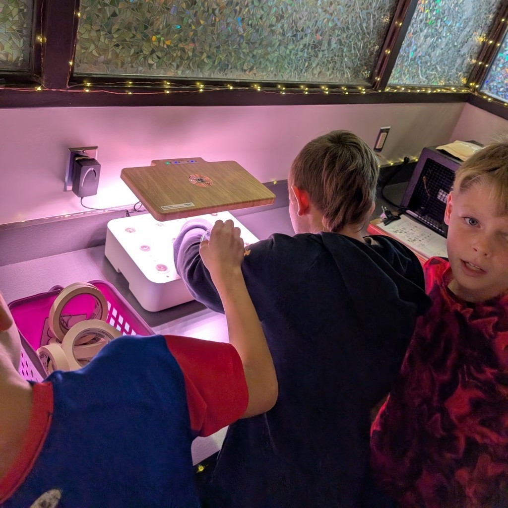 hydroponic farm planting