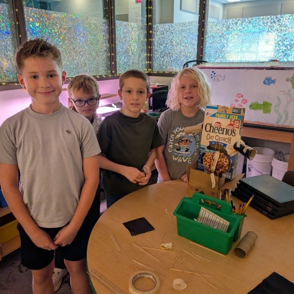 Third grade Stem