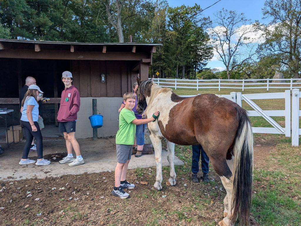 student brushing a horse