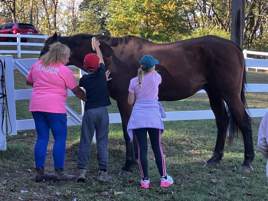 students brushing a horse