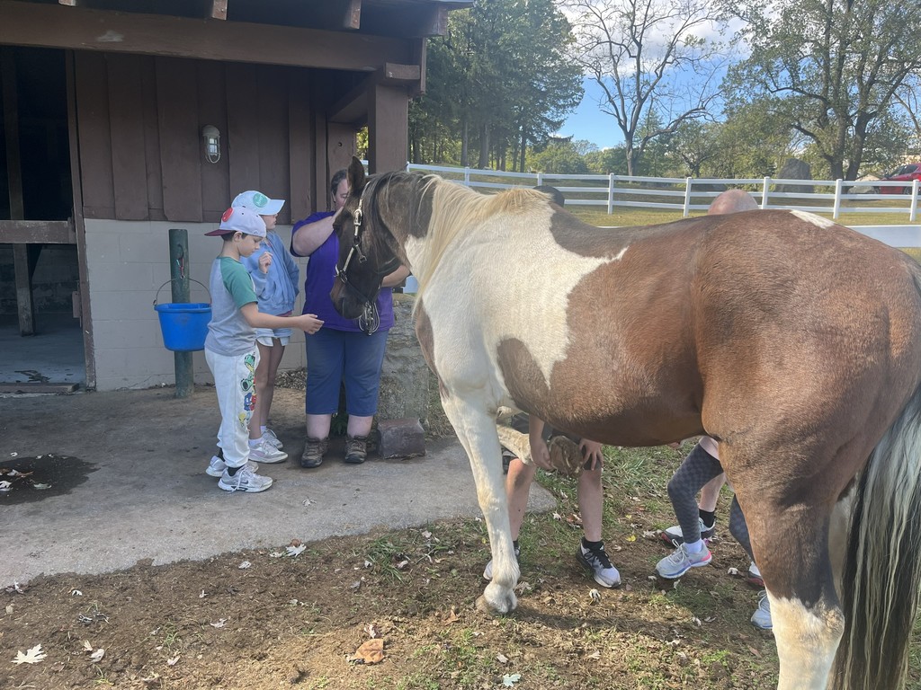students with a horse
