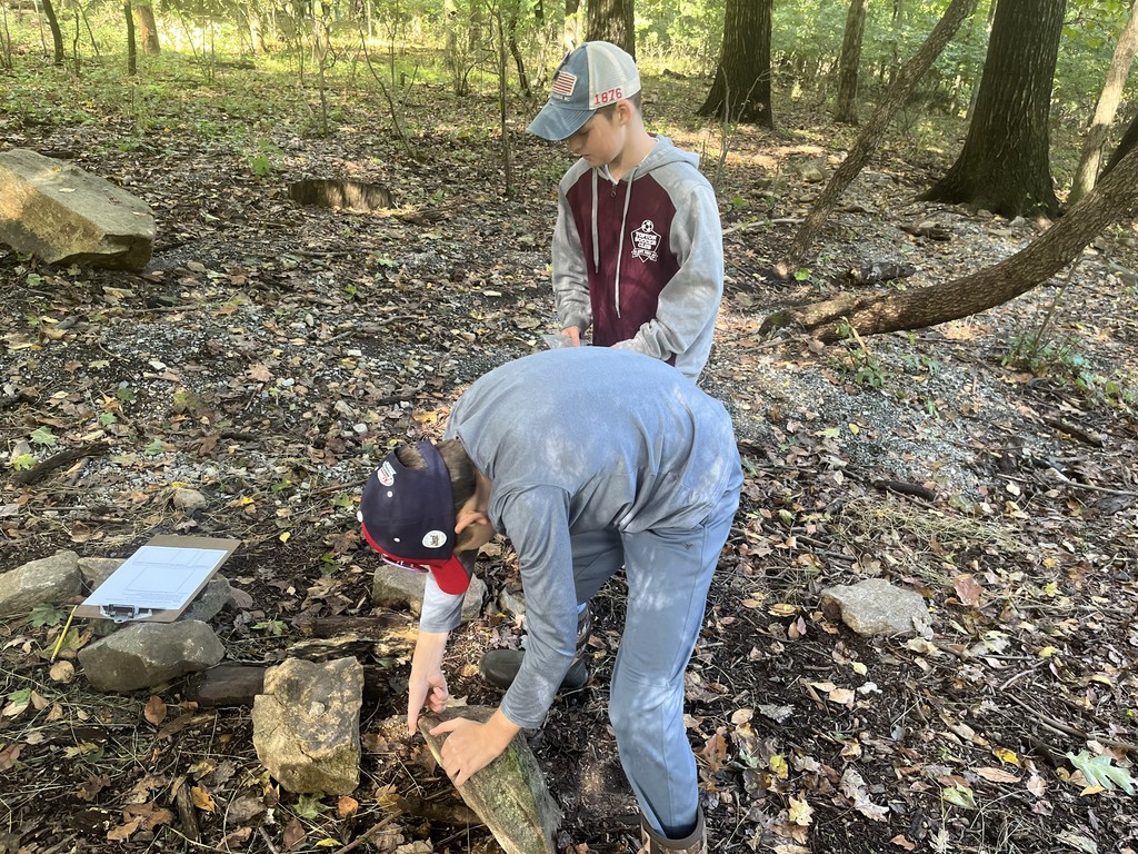 students looking at rocks