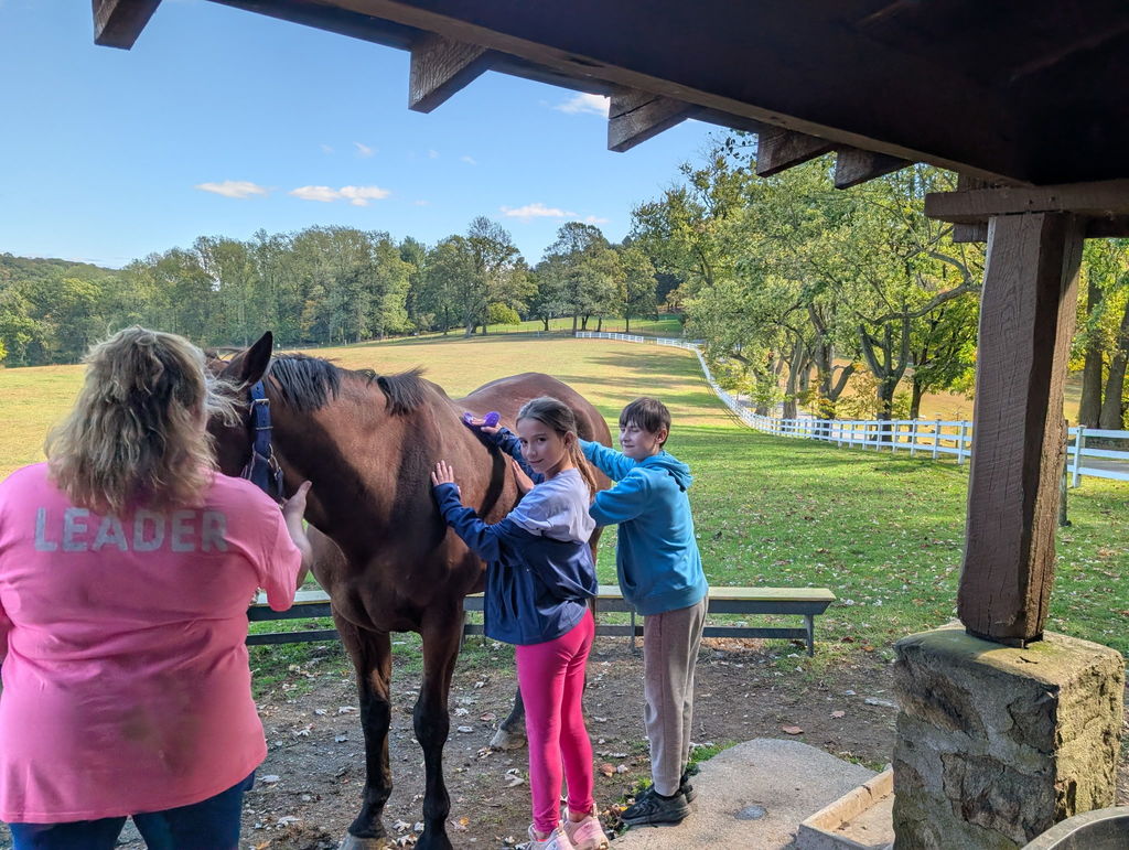 two students stand pettinga  horse