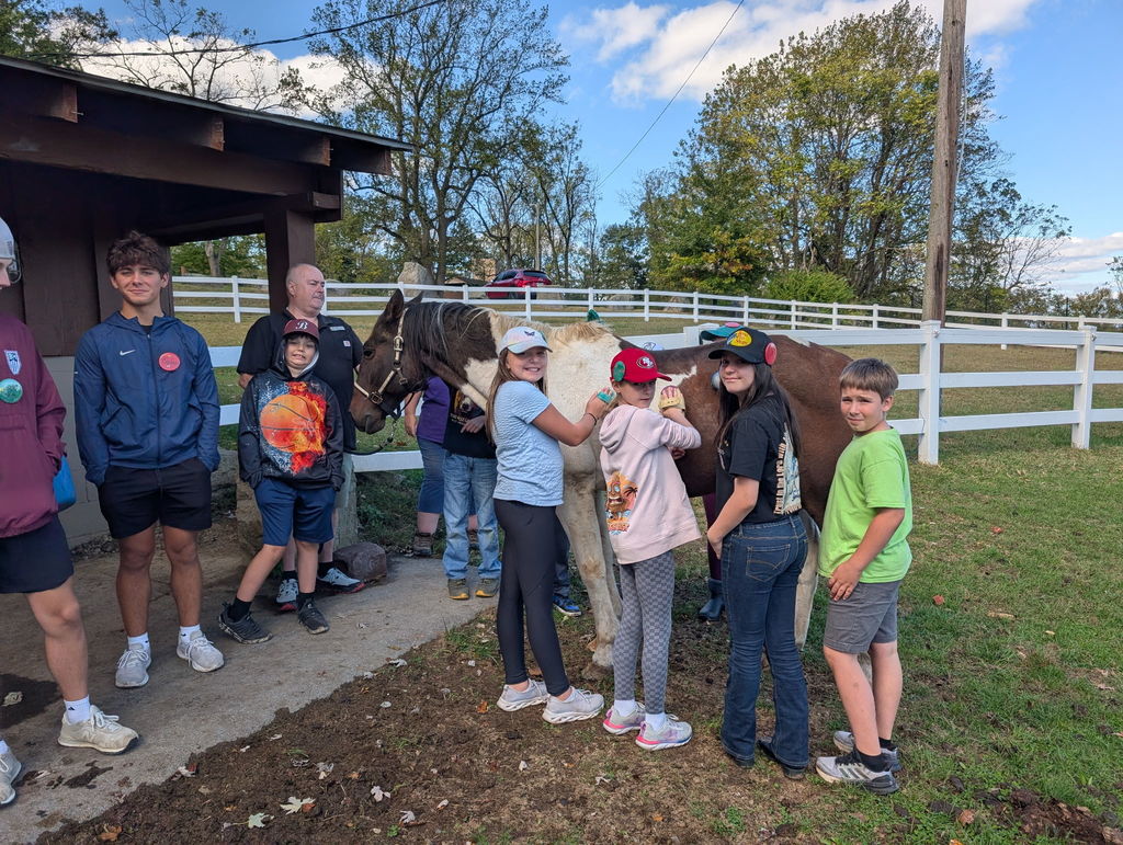 students stand with a horse