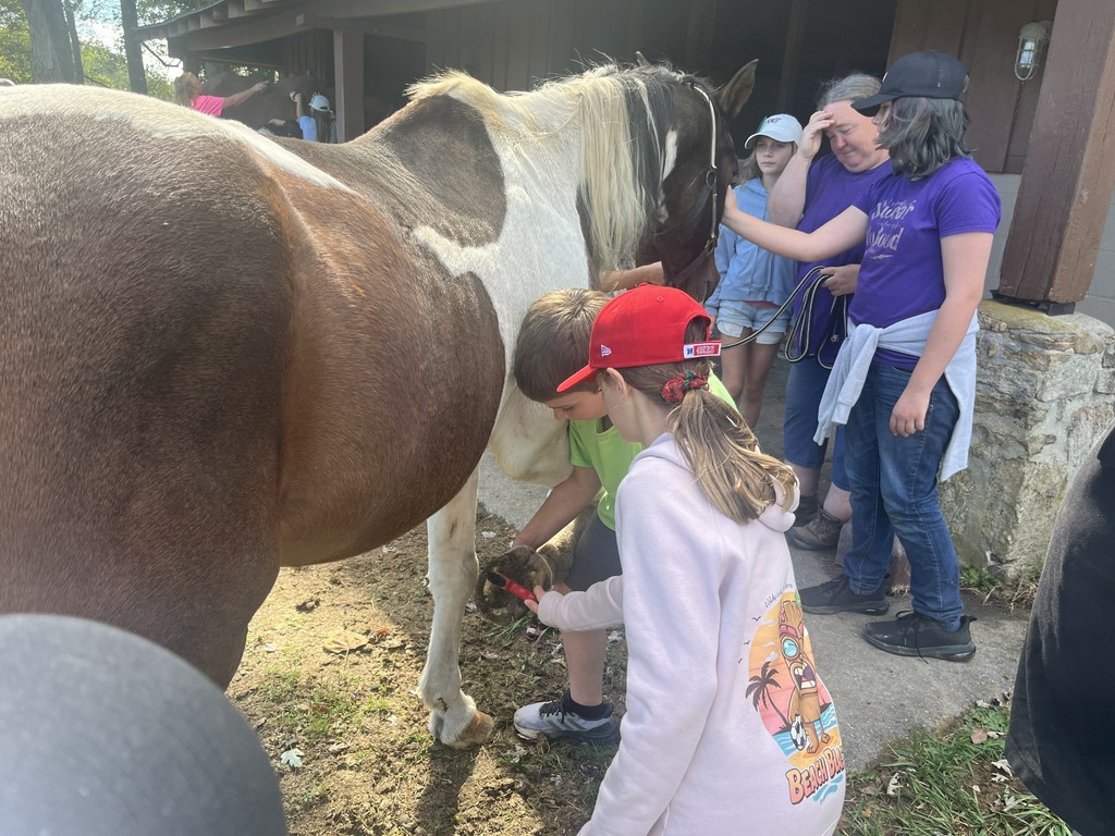 students with horse