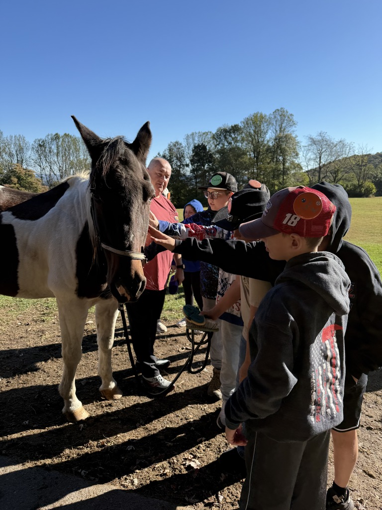 students with the horse