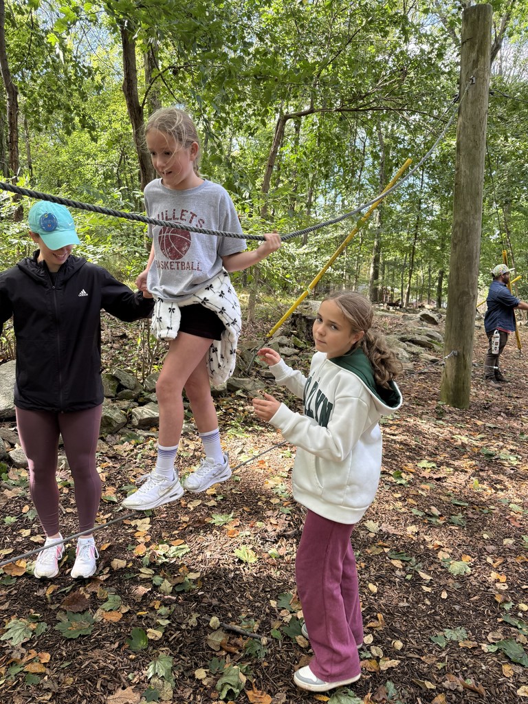 students on the low ropes course