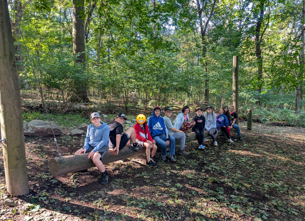 students sitting on a log