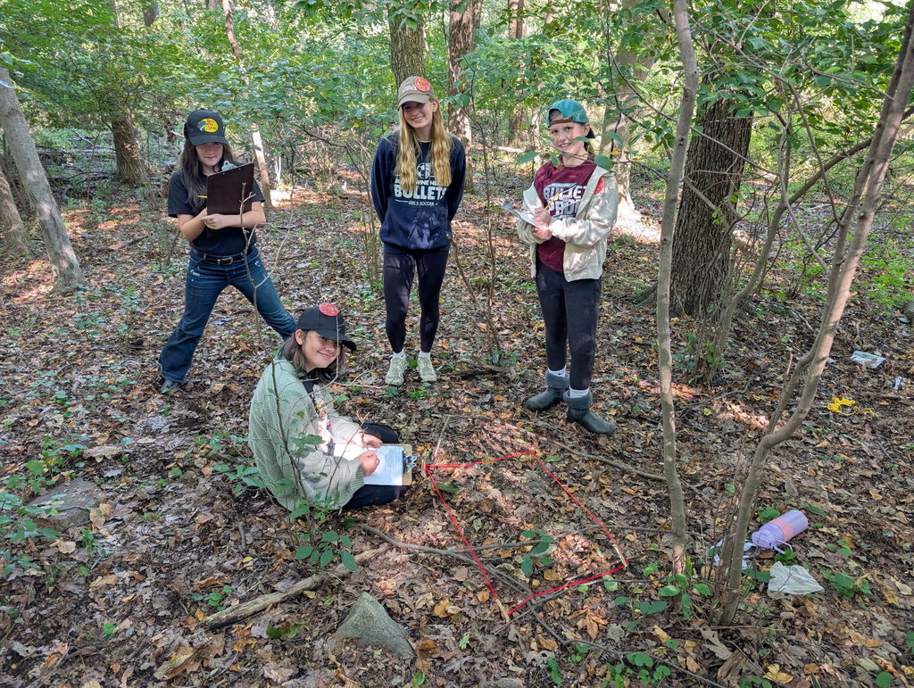 students working on activity