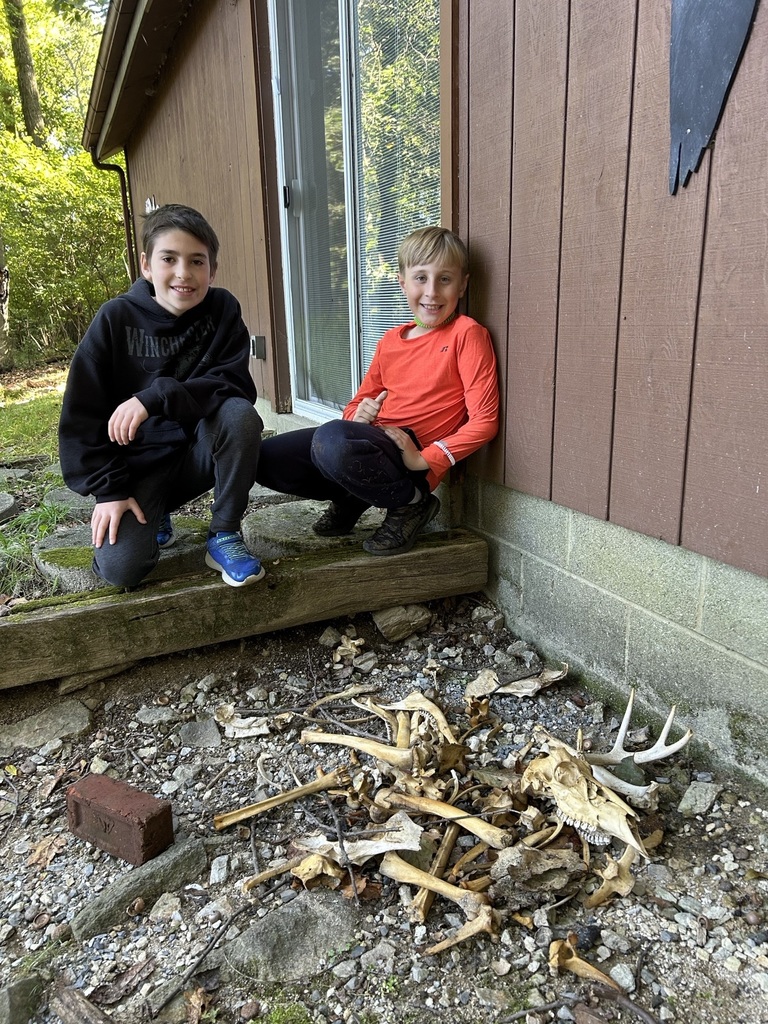 students sit next to a pile of animal bones