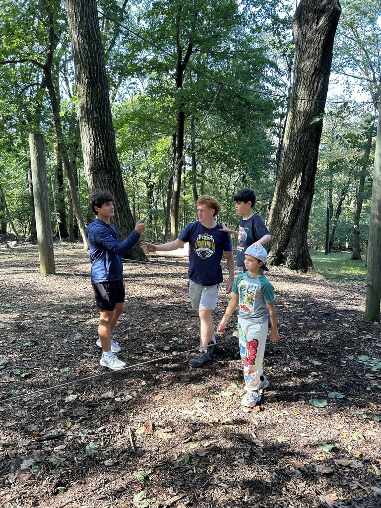 students on the low ropes course