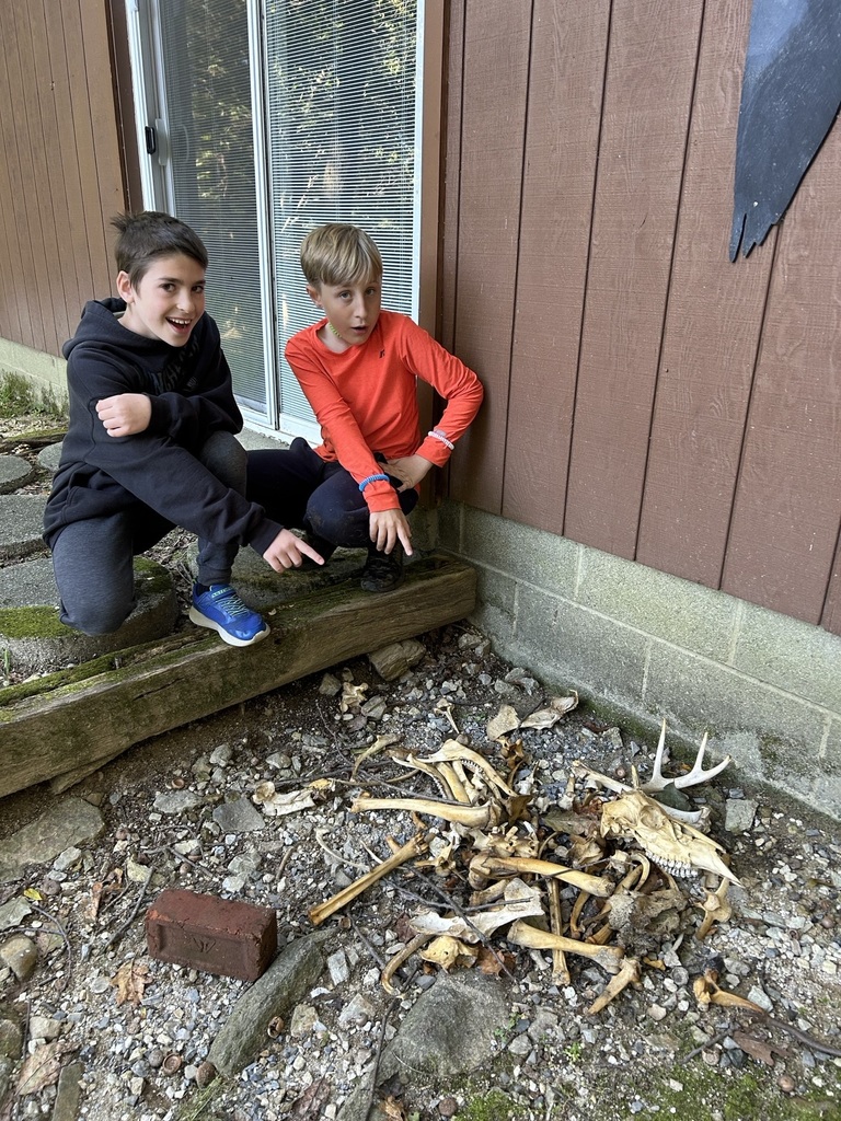 students point at a pile of animal bones