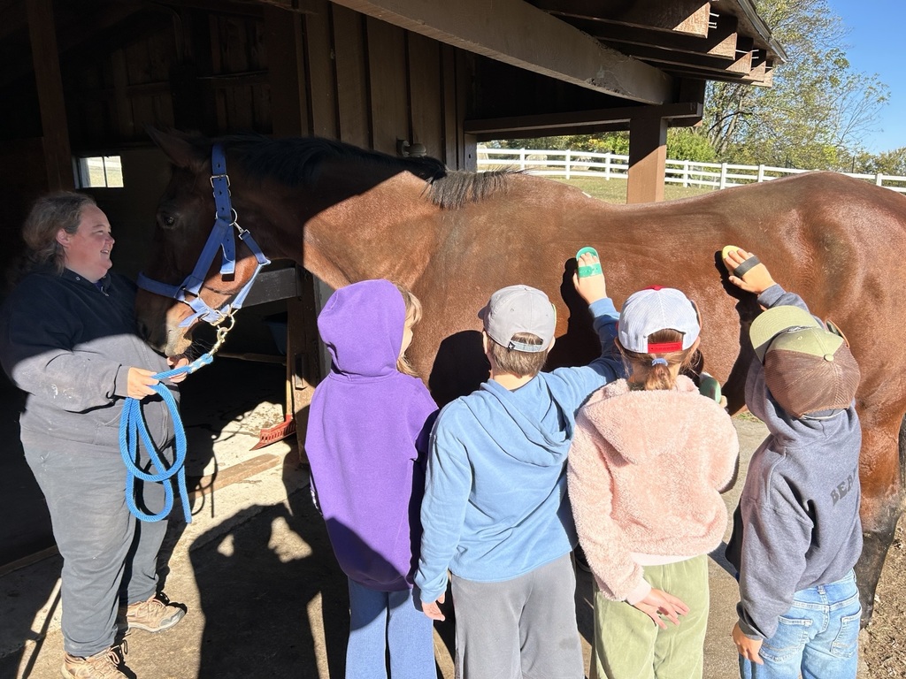 students brush a horse
