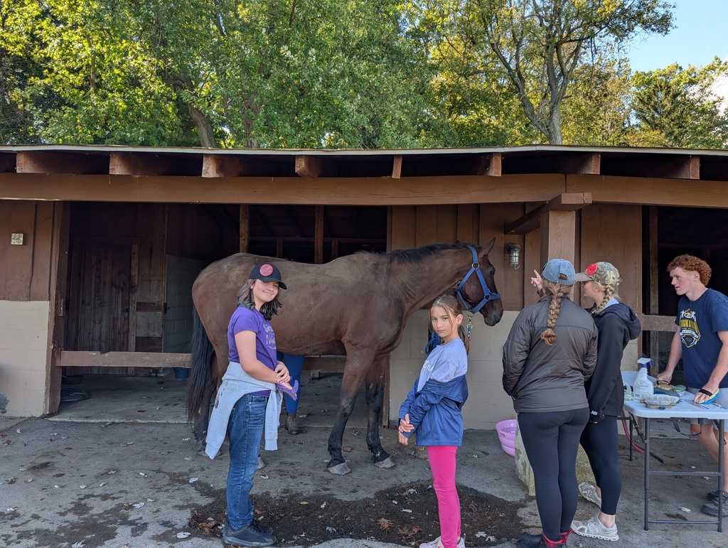 students stand with a horse