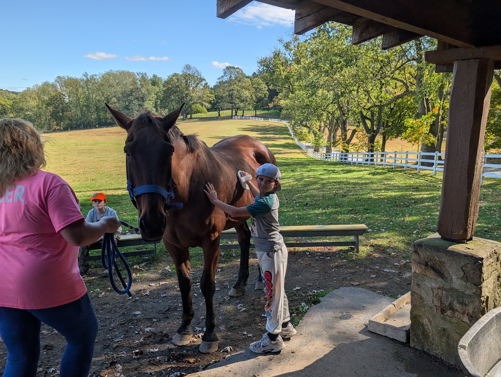 student brushes a horse