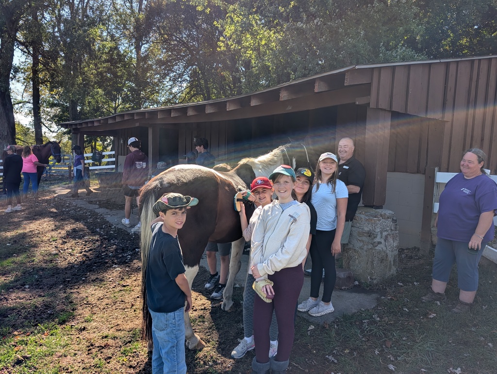students stand with a horse