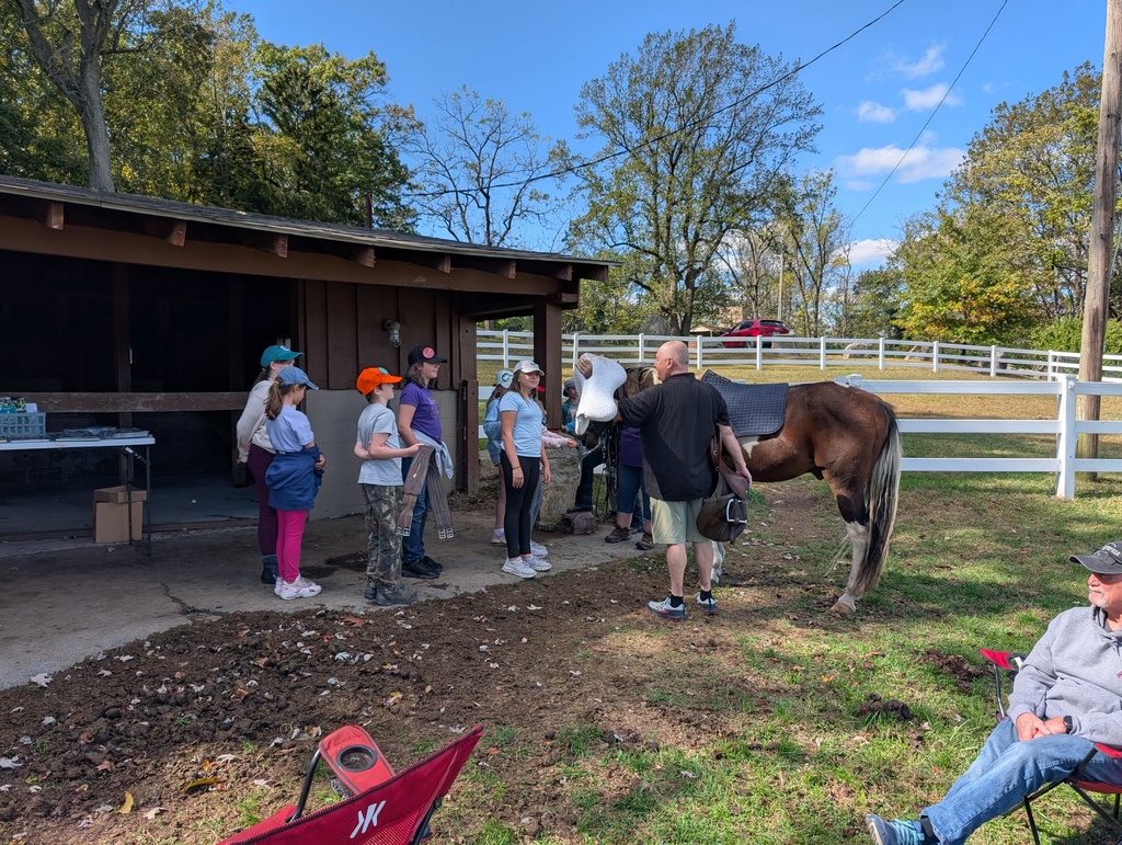 students stand next to a horse