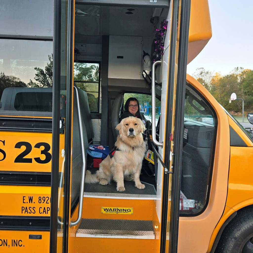 Talking with the driver.