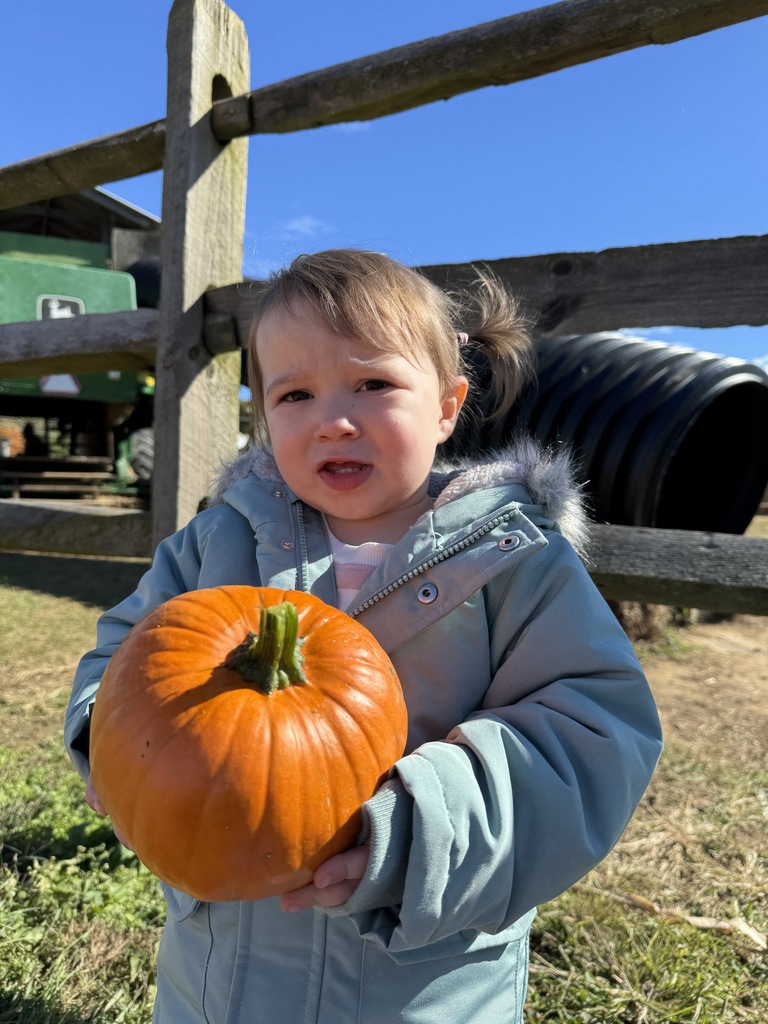 Savidge Farms Field Trip