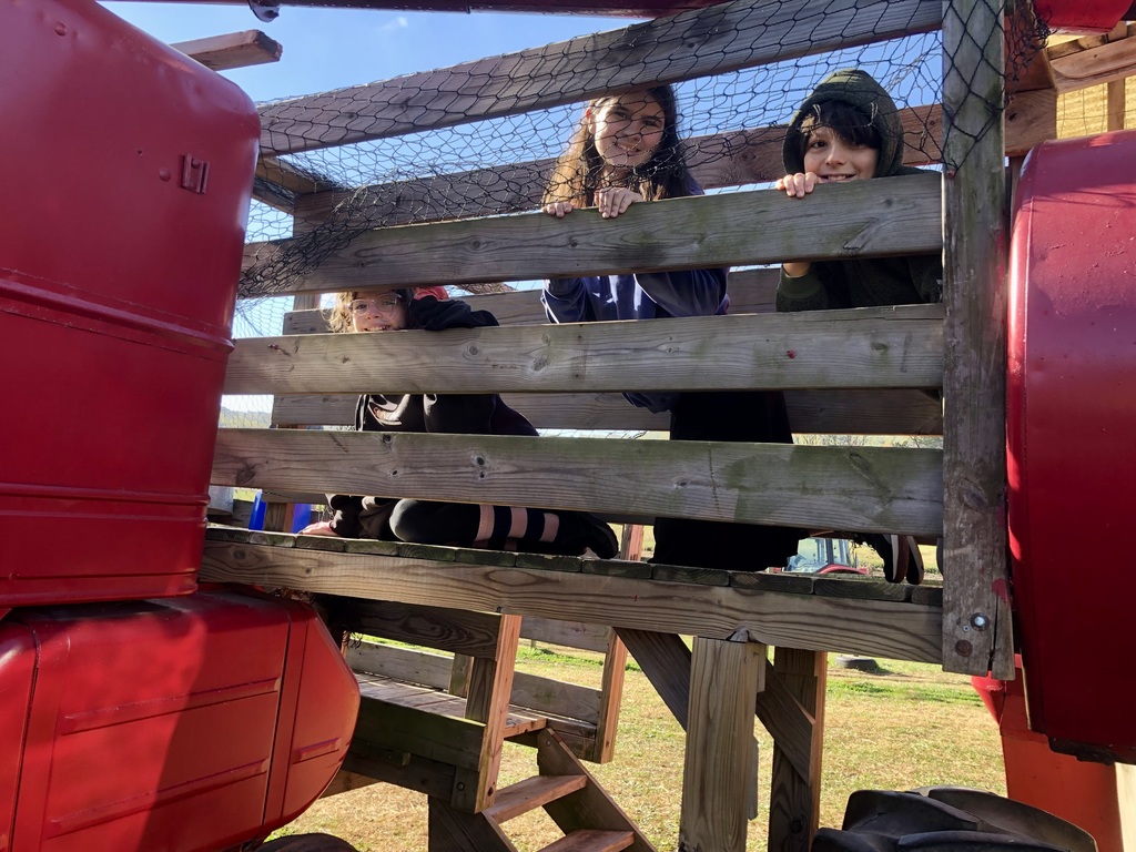 Exploring the playground.