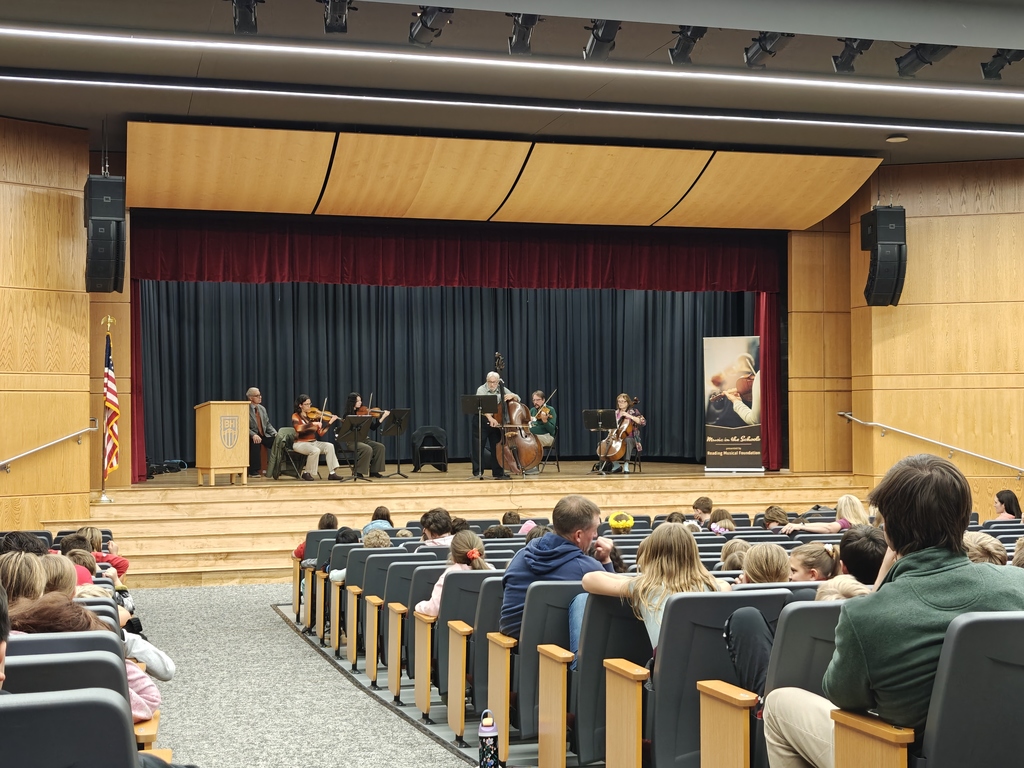String players performing at the Music in the Schools Assembly