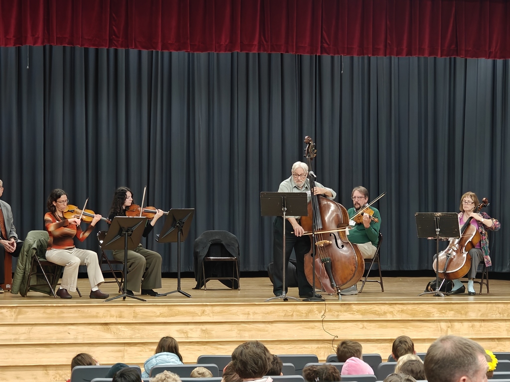 String players performing at the Music in the Schools Assembly
