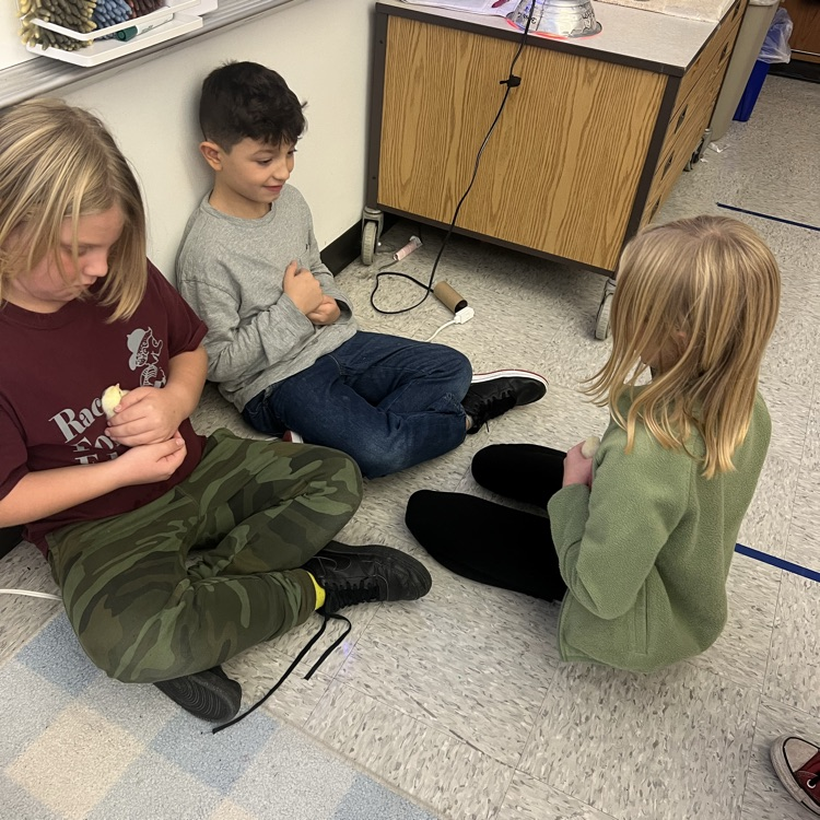 students with chicks 