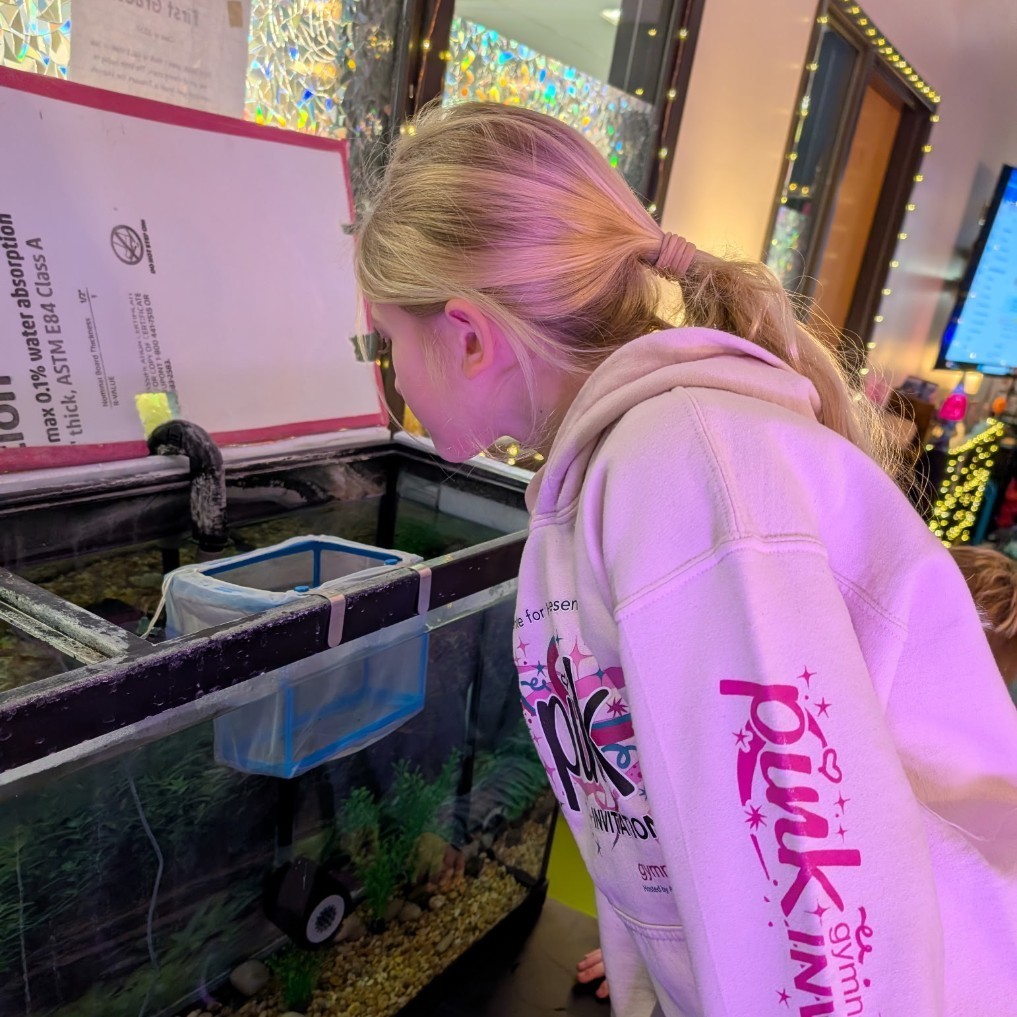 checking out Rainbow Trout eggs!