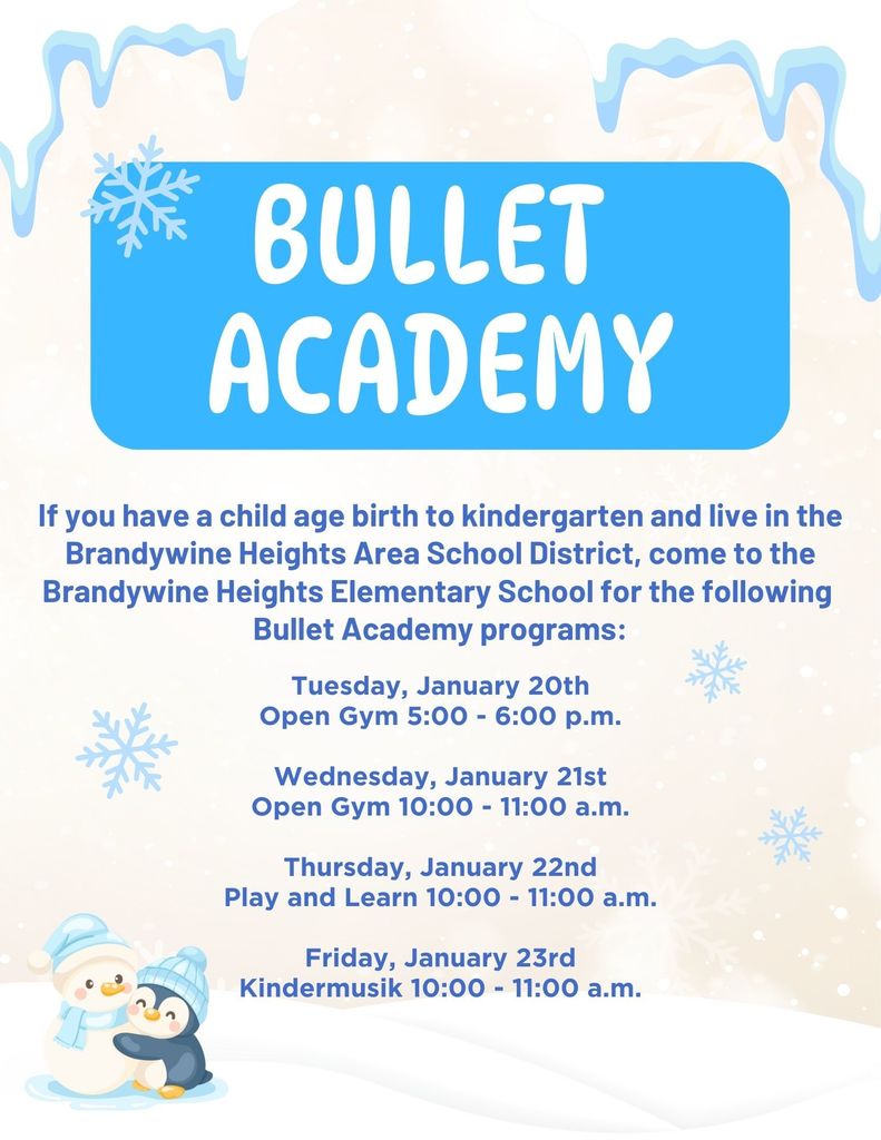 Bullet Academy