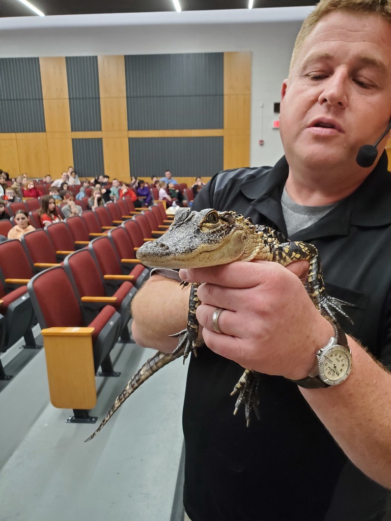 man holding a baby alligator
