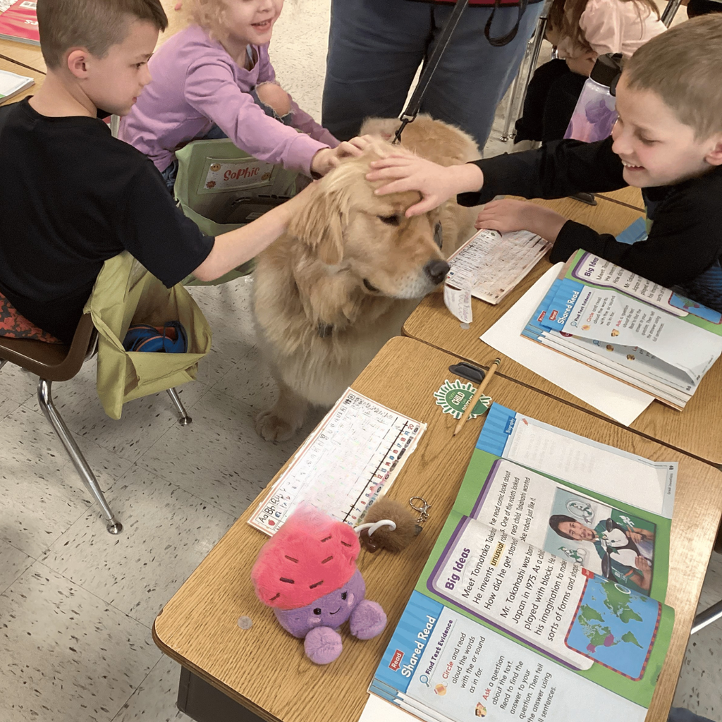 Therapy Dog Visit
