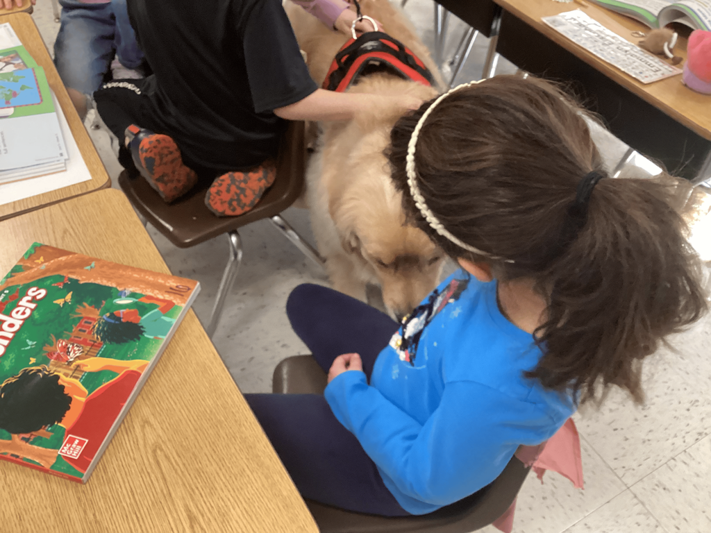 Therapy Dog Visit