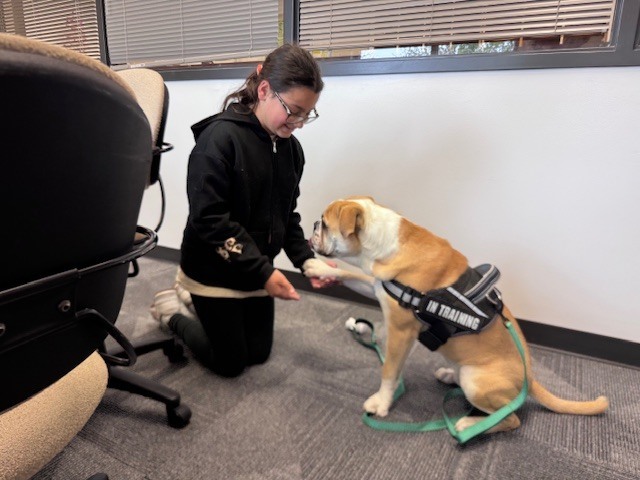 student doing a handshake with a bulldog