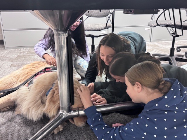 students pet golden retriever under a table