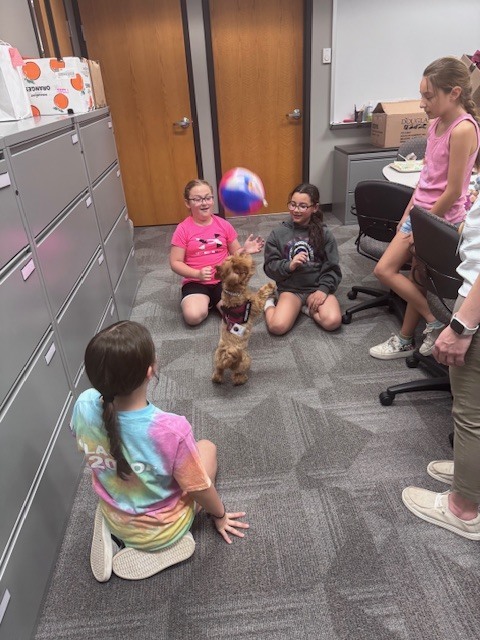 students watching a dog bounce a ball while on it's hind legs