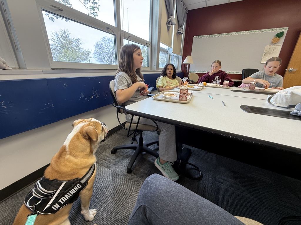 a bulldog sitting on the floor looks up at table with students sitting around it with food
