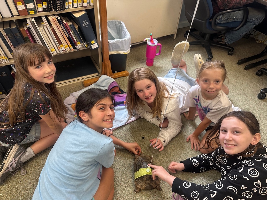 students at the library