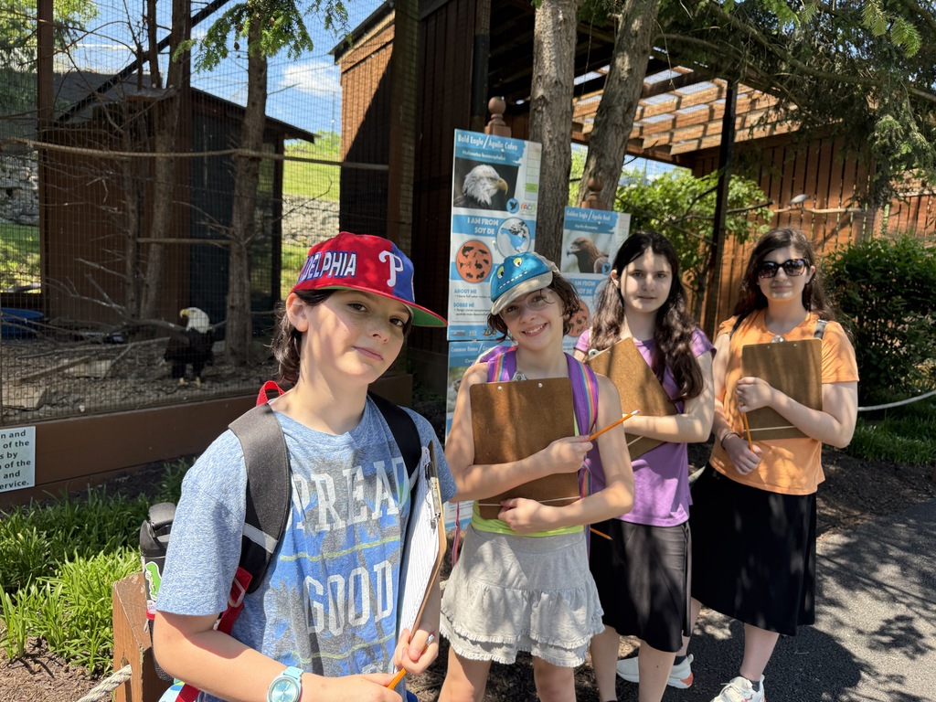 Bald Eagle observation.