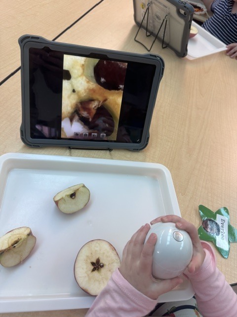 apples and iPad