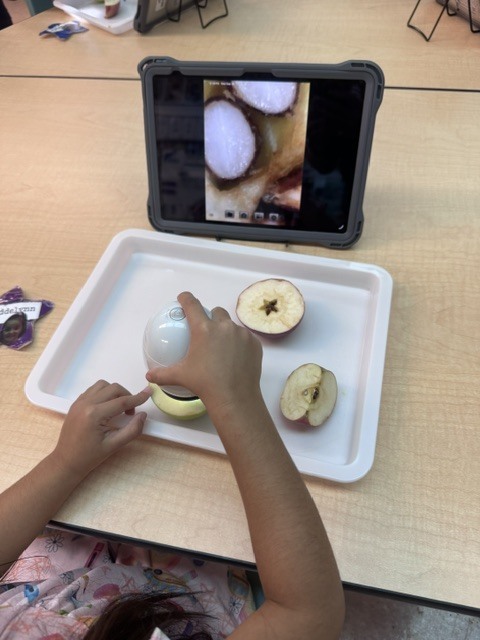 iPad and apples