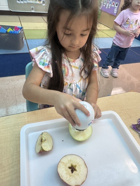 apples
