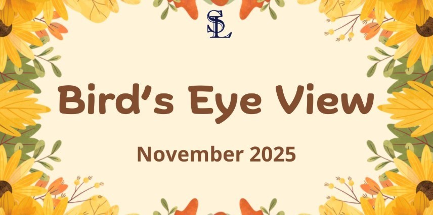 November Bird's Eye View Newsletter