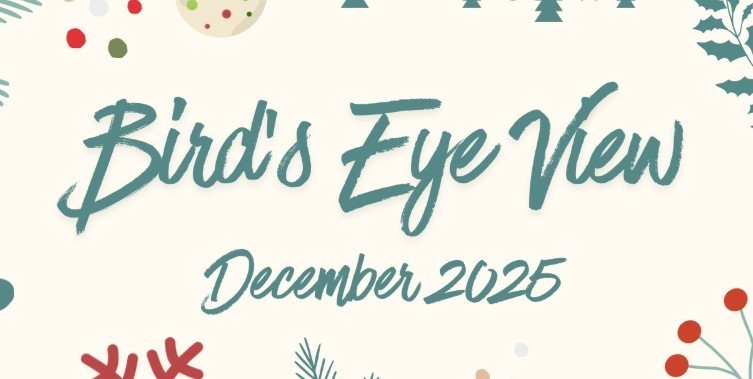 December Bird's Eye View District Newsletter