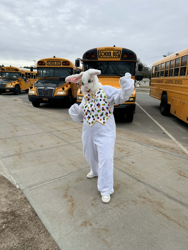 bunny and bus