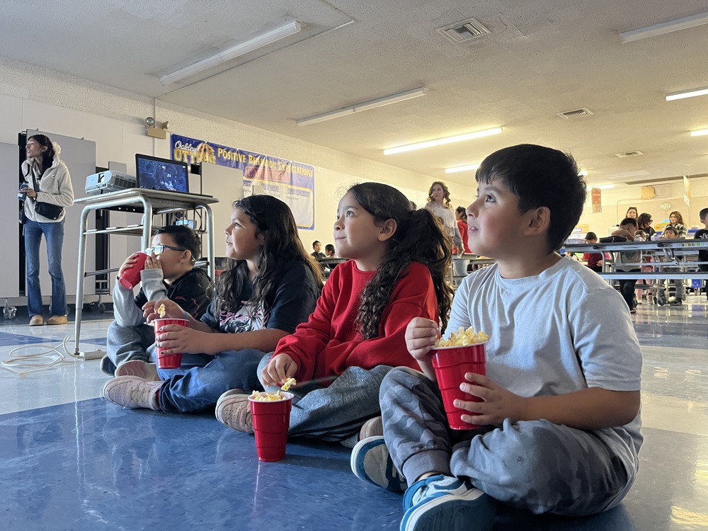 Lunch on the Lawn Movie