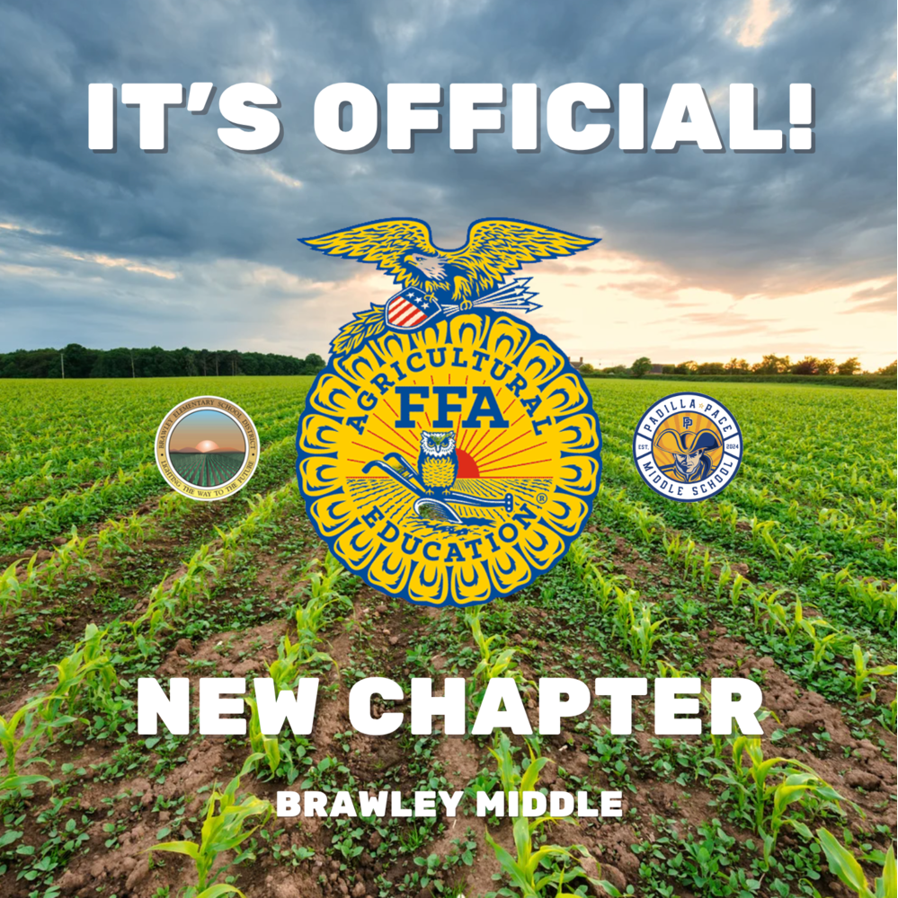 FFA