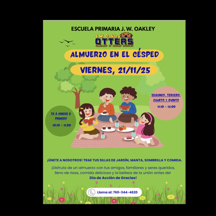 Almuerzo en el cesped