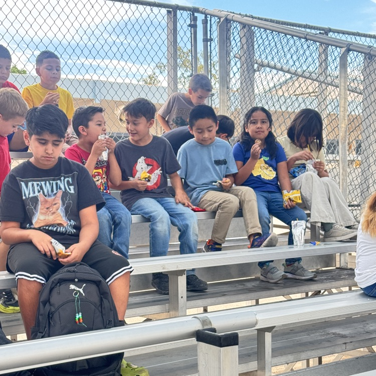 ready to have free play