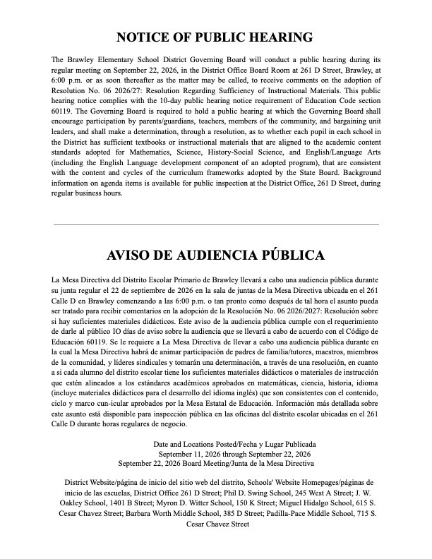 flier